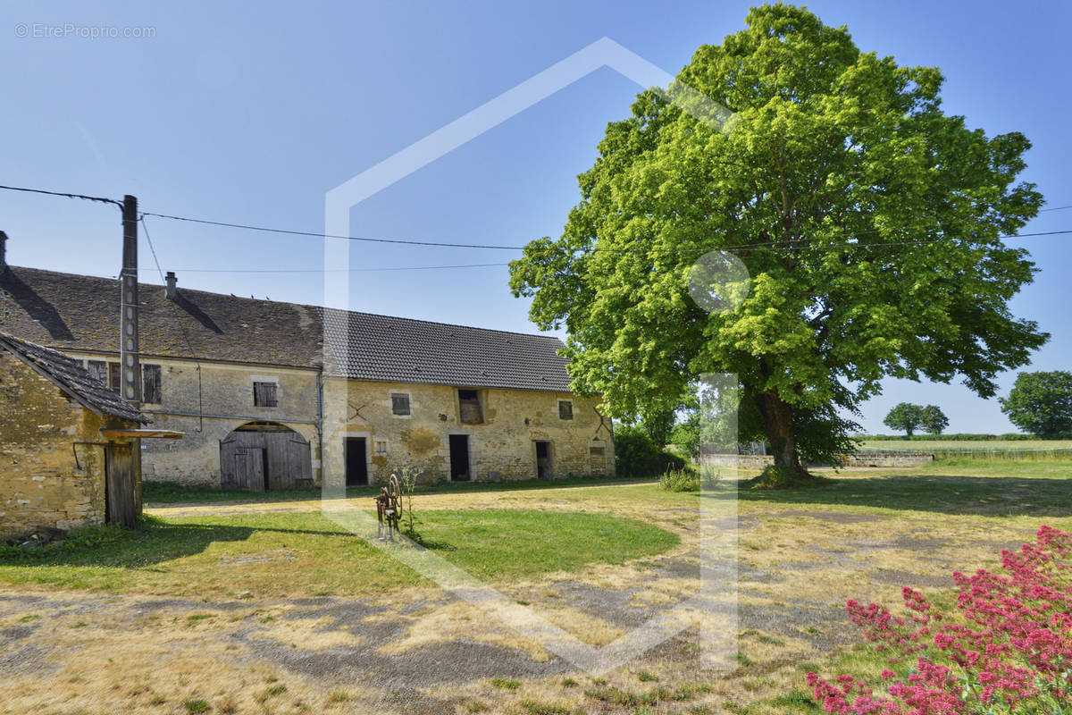 Maison à SAINPUITS