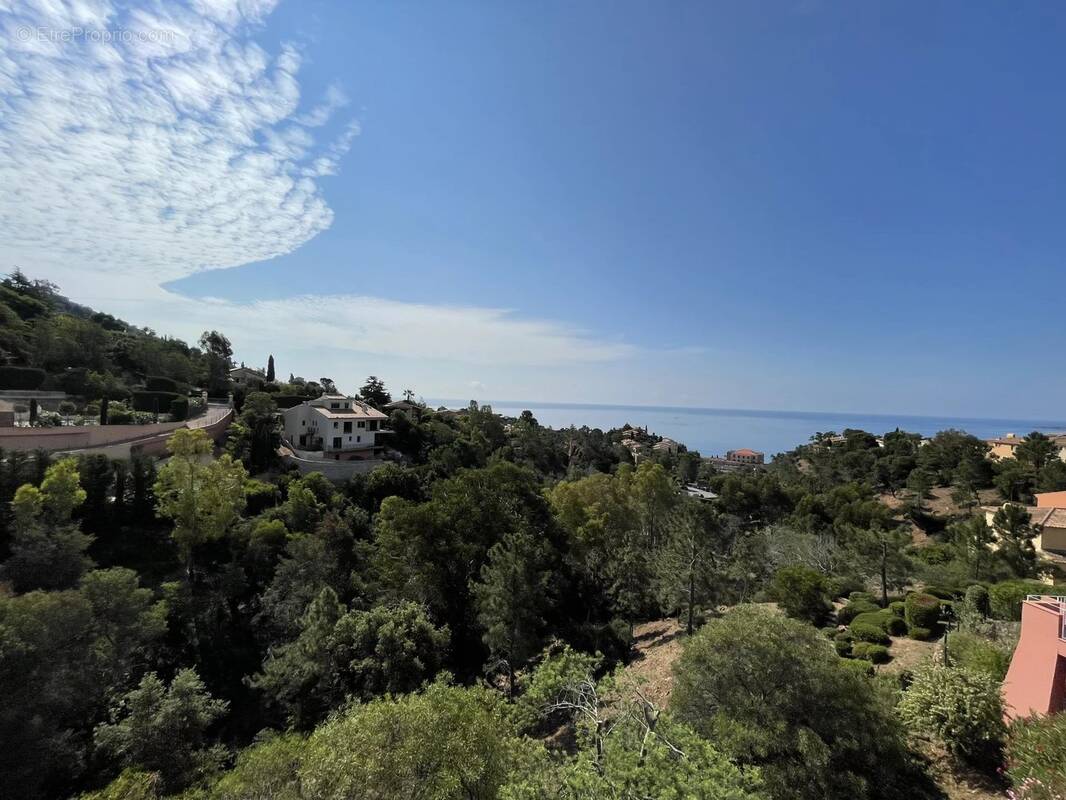 Appartement à THEOULE-SUR-MER