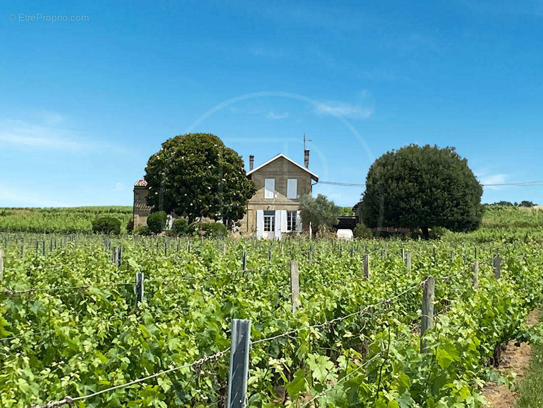 Terrain à SAINT-EMILION