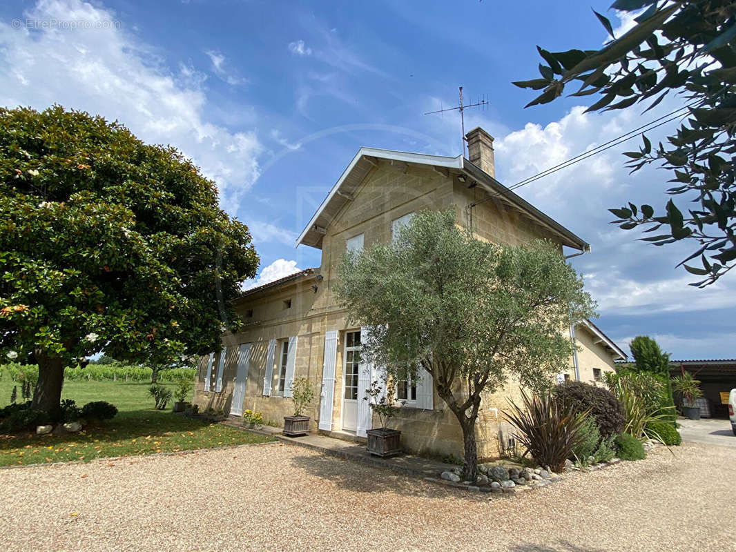 Terrain à SAINT-EMILION