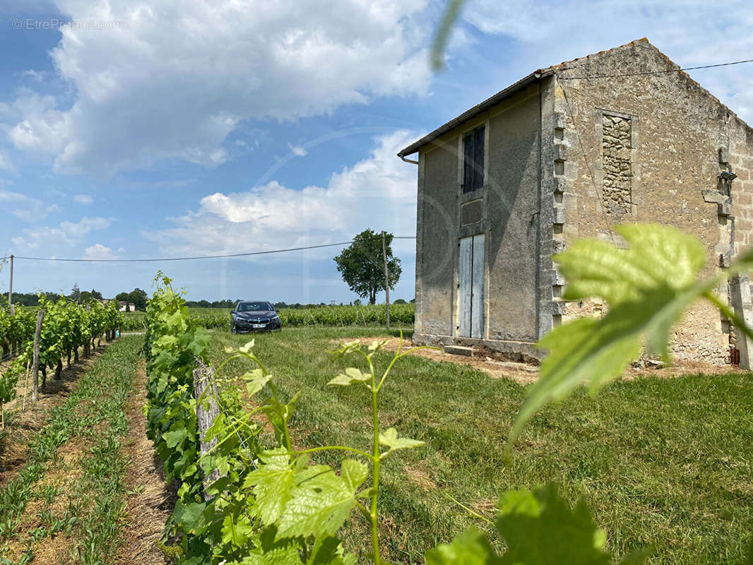 Terrain à SAINT-EMILION