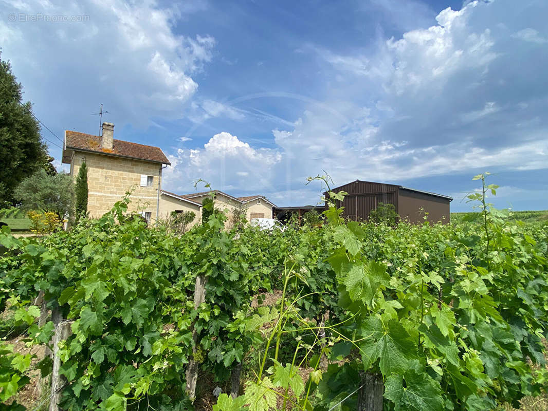 Terrain à SAINT-EMILION