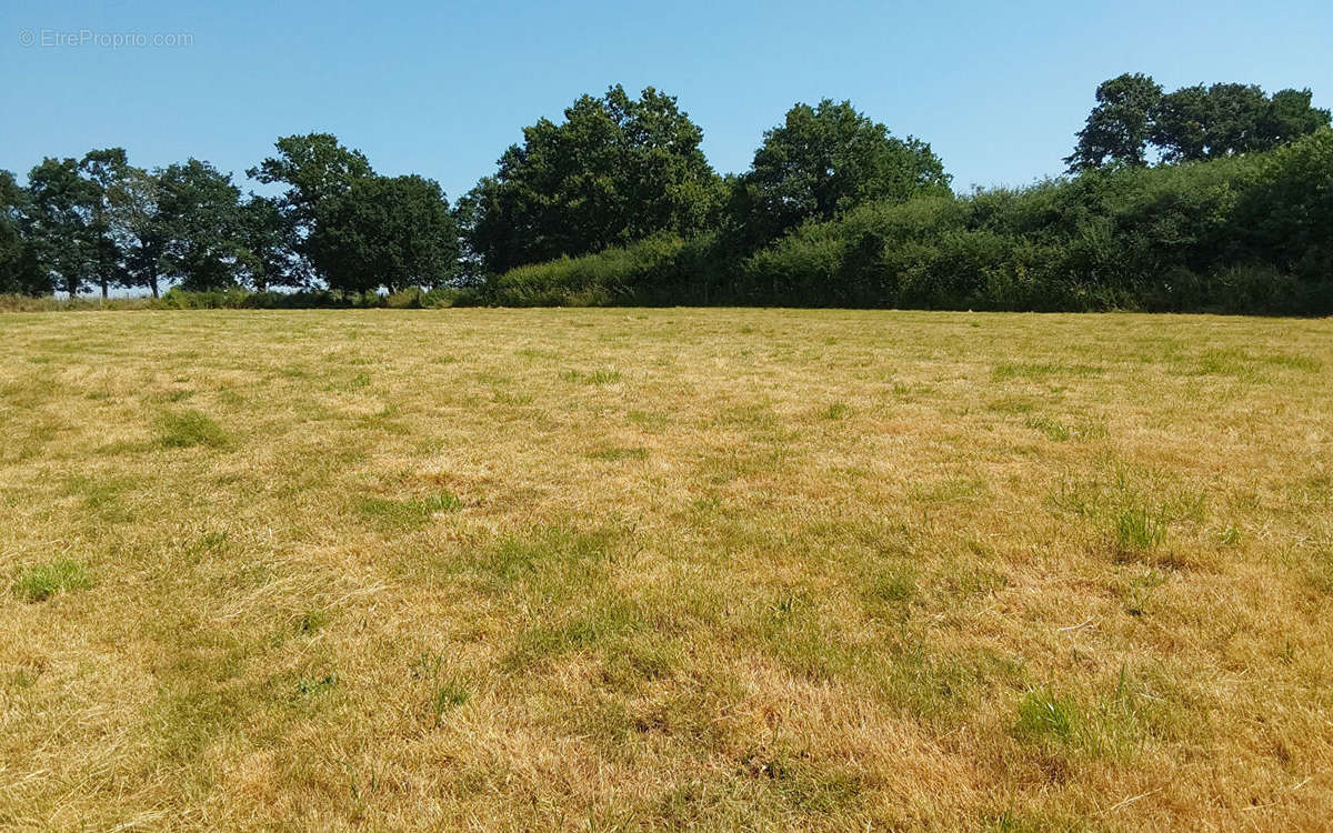 Terrain à PIPRIAC