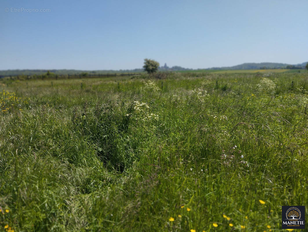 Terrain à ACQ