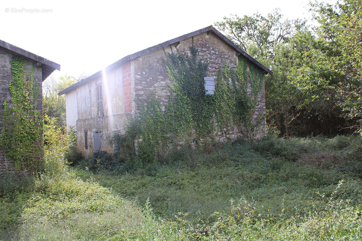 Maison à SAINT-CRICQ-CHALOSSE