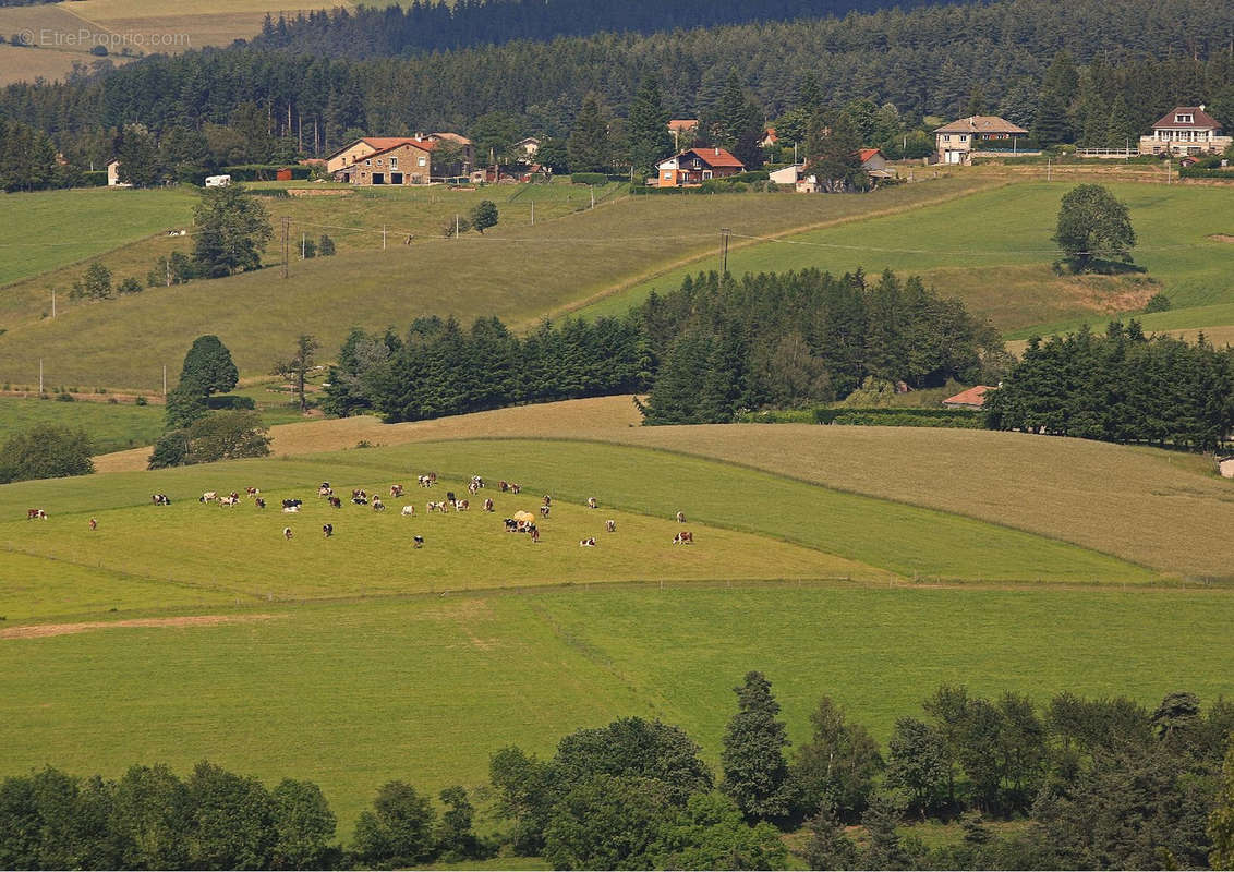 Terrain à SAINT-ROMAIN-LES-ATHEUX