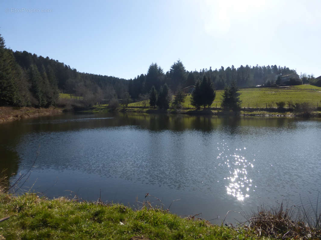 Terrain à SAINT-ROMAIN-LES-ATHEUX