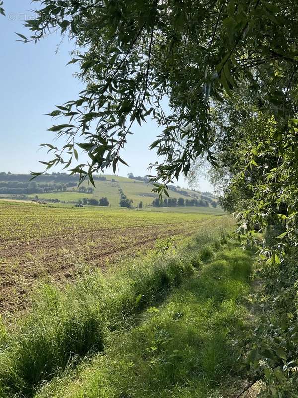 Terrain à MARENLA