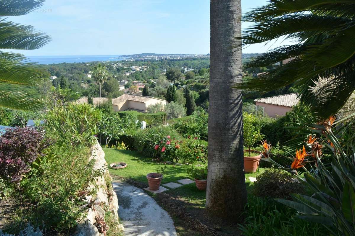 Maison à VILLENEUVE-LOUBET