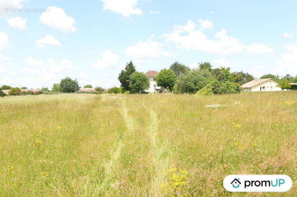 Terrain à SAINTE-LIVRADE-SUR-LOT