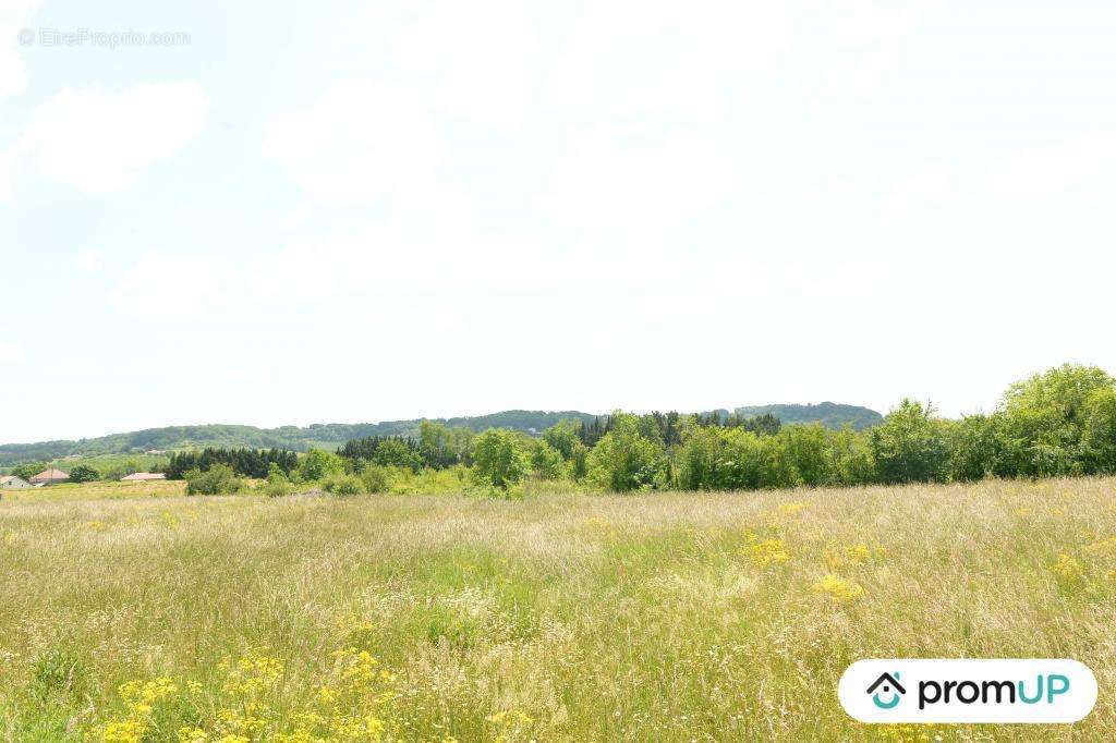 Terrain à SAINTE-LIVRADE-SUR-LOT