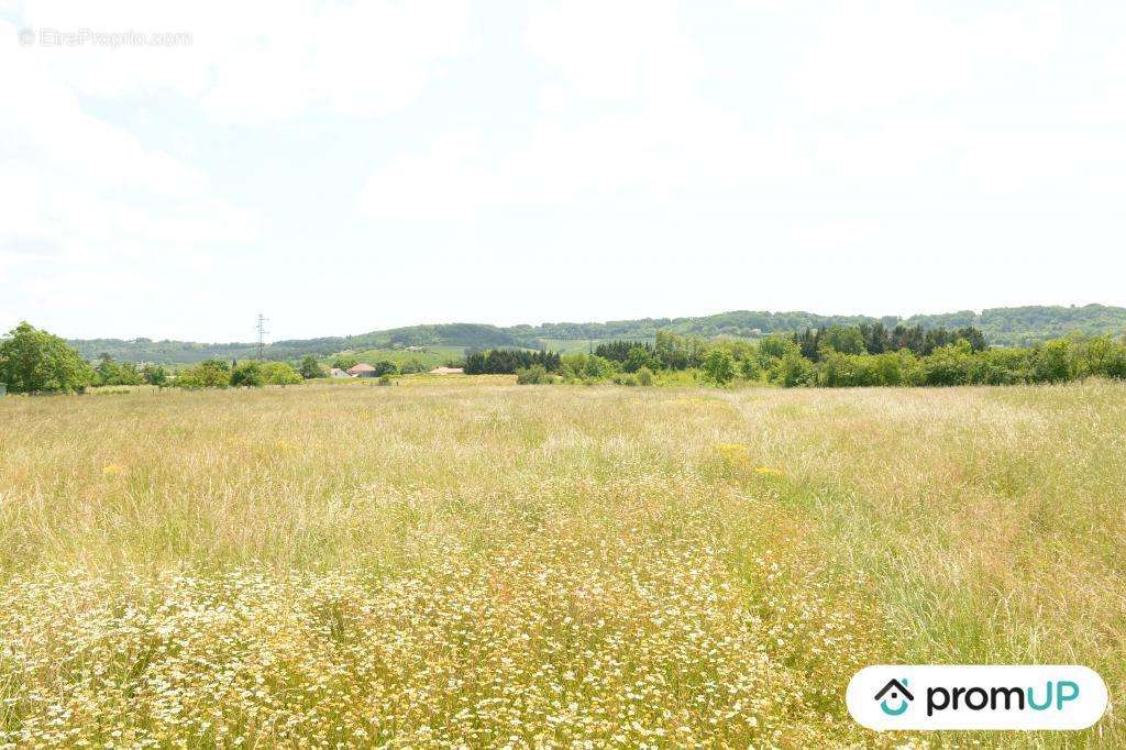 Terrain à SAINTE-LIVRADE-SUR-LOT