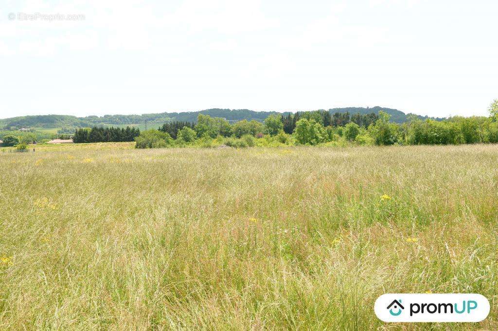 Terrain à SAINTE-LIVRADE-SUR-LOT