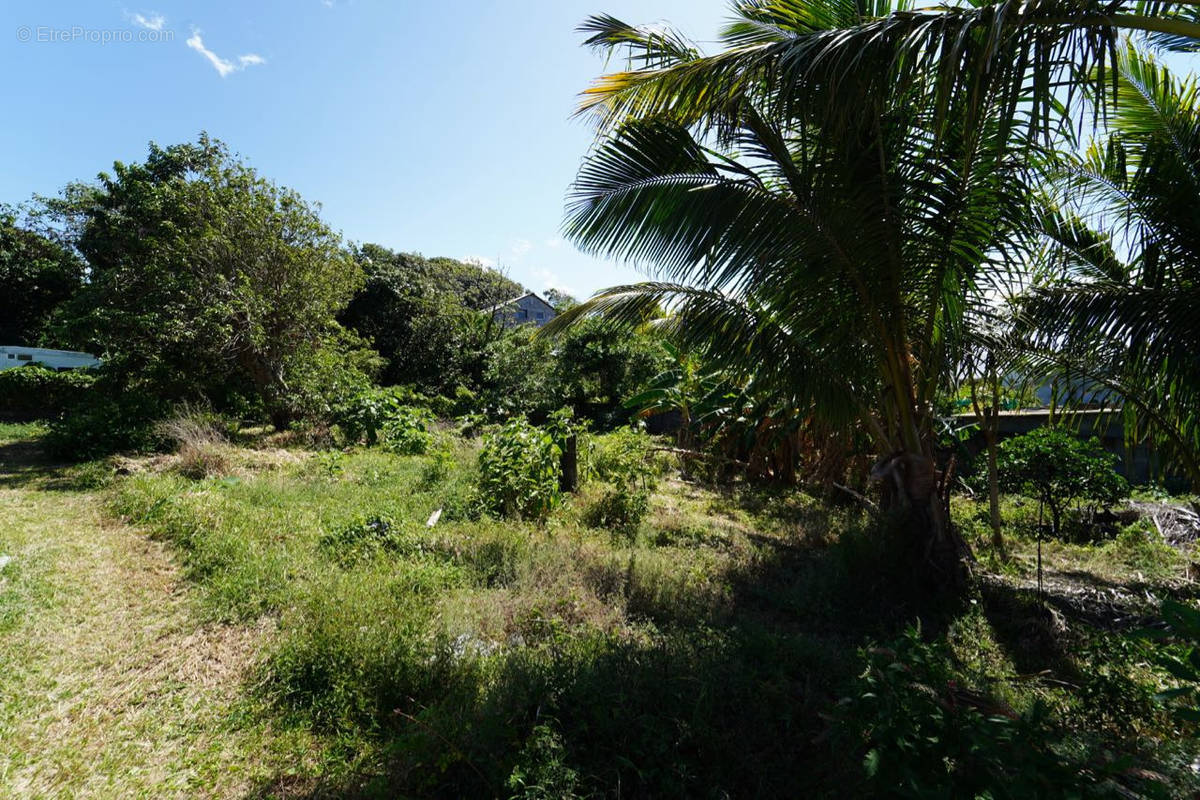 Terrain à SAINT-JOSEPH