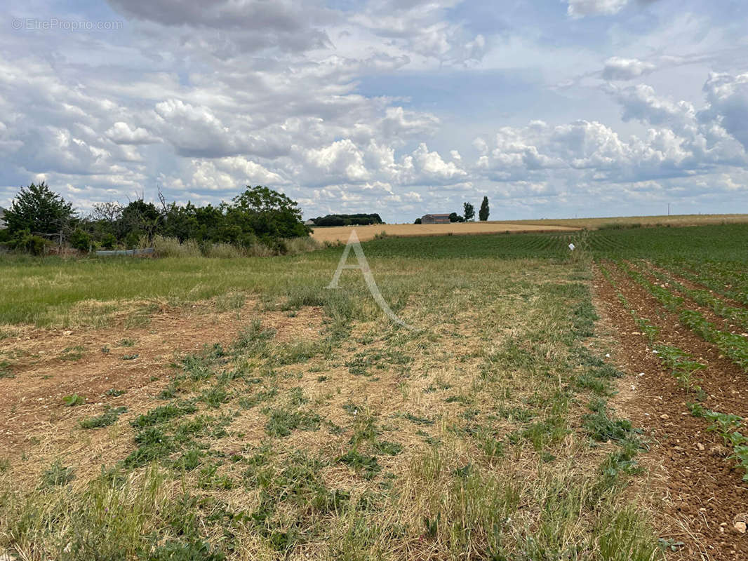 Terrain à SAINT-MARTIN-DE-FRAIGNEAU