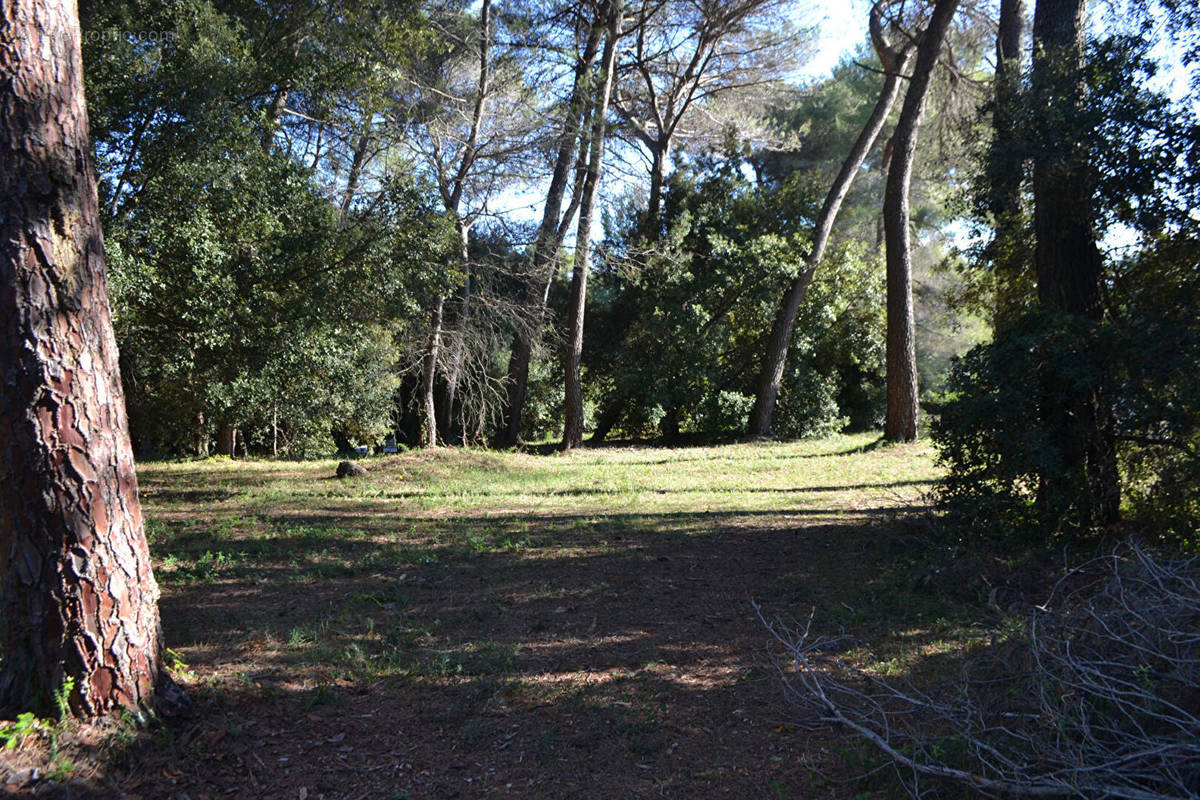 Terrain à BIOT