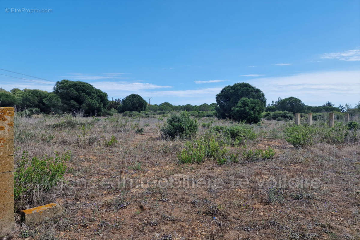 Terrain à SERIGNAN