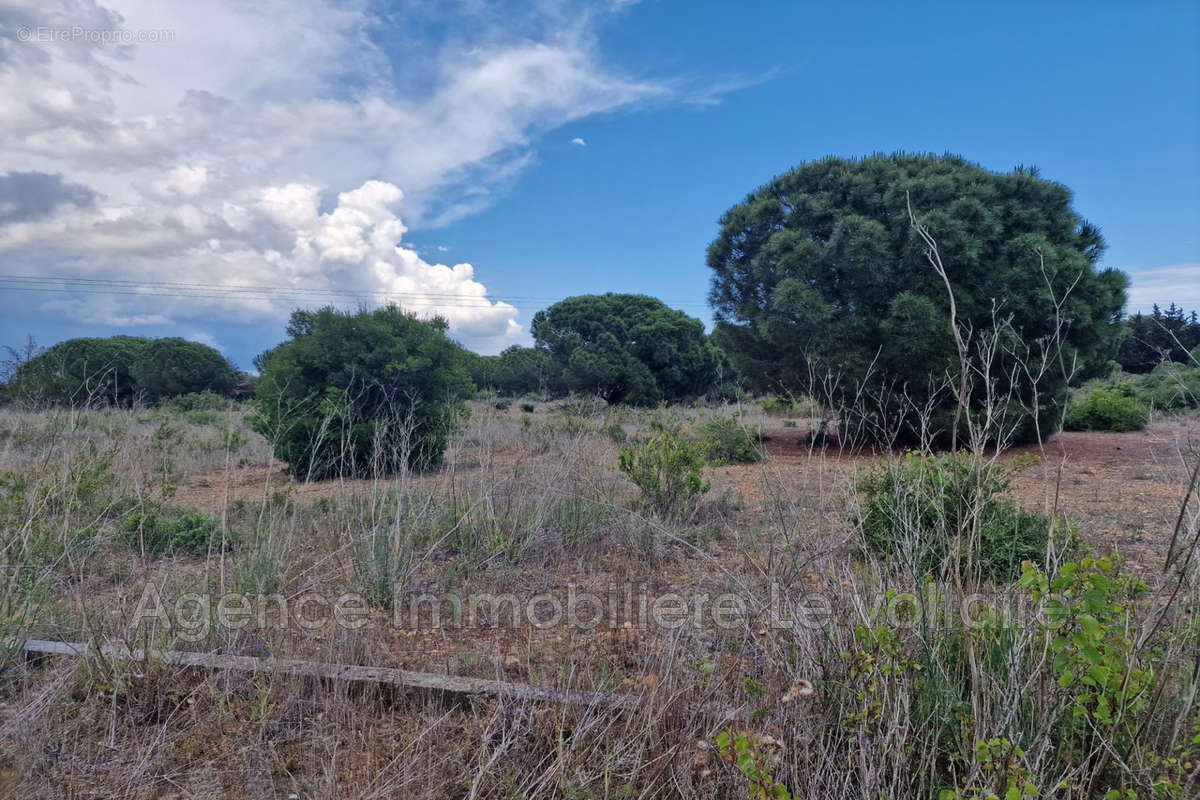 Terrain à SERIGNAN