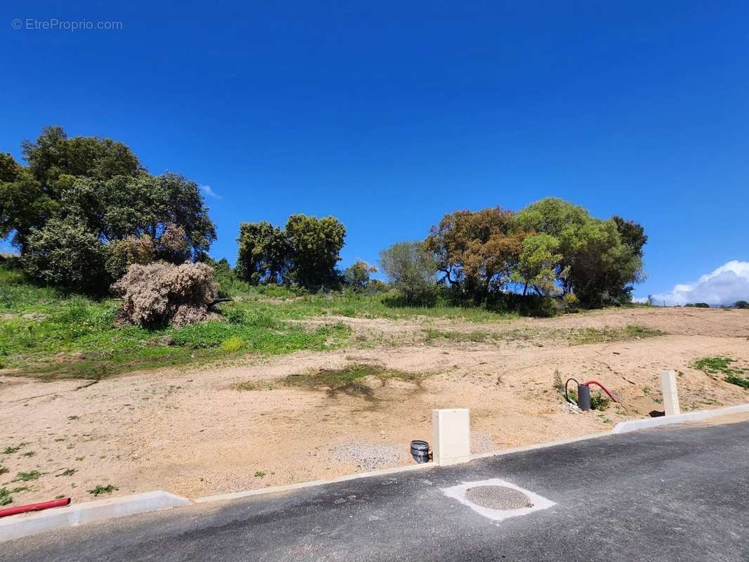 Terrain à AJACCIO