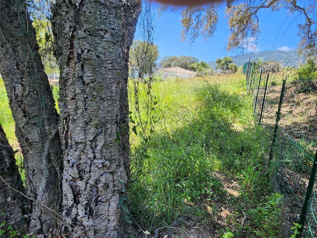 Terrain à AJACCIO