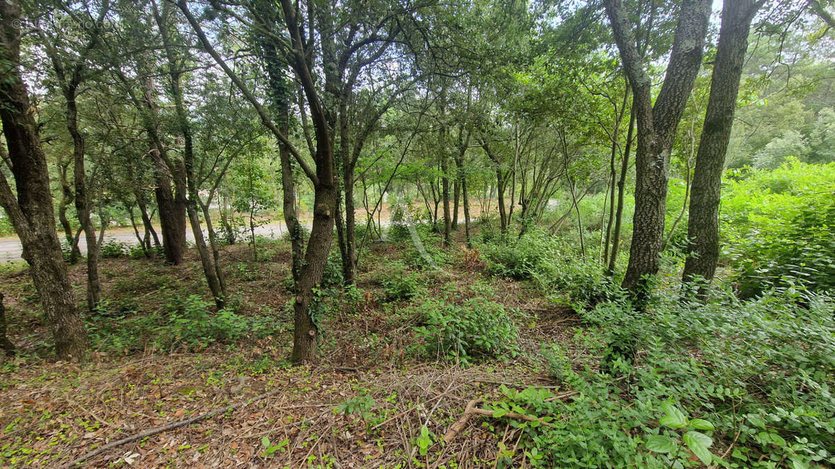 Terrain à PALAJA