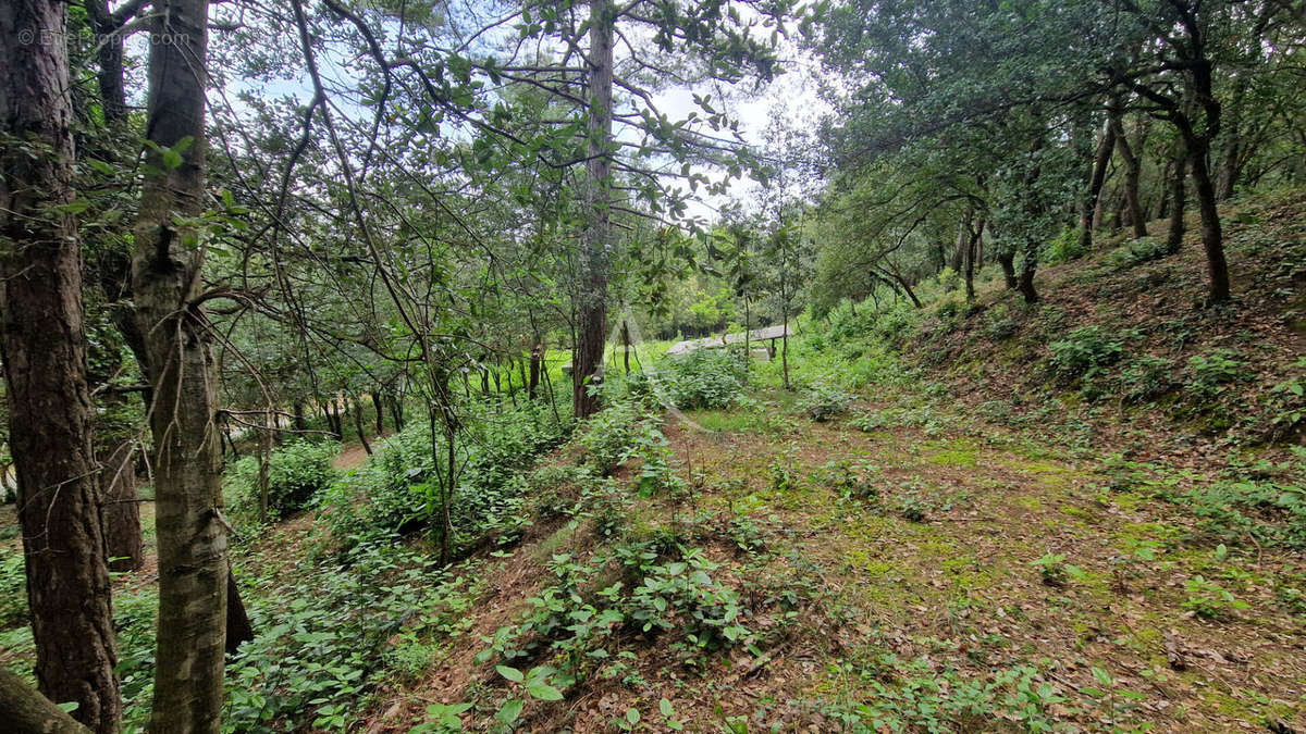 Terrain à PALAJA