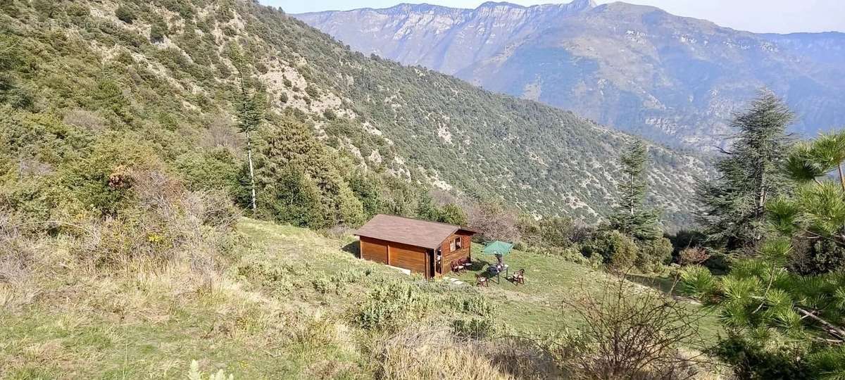 Terrain à BREIL-SUR-ROYA