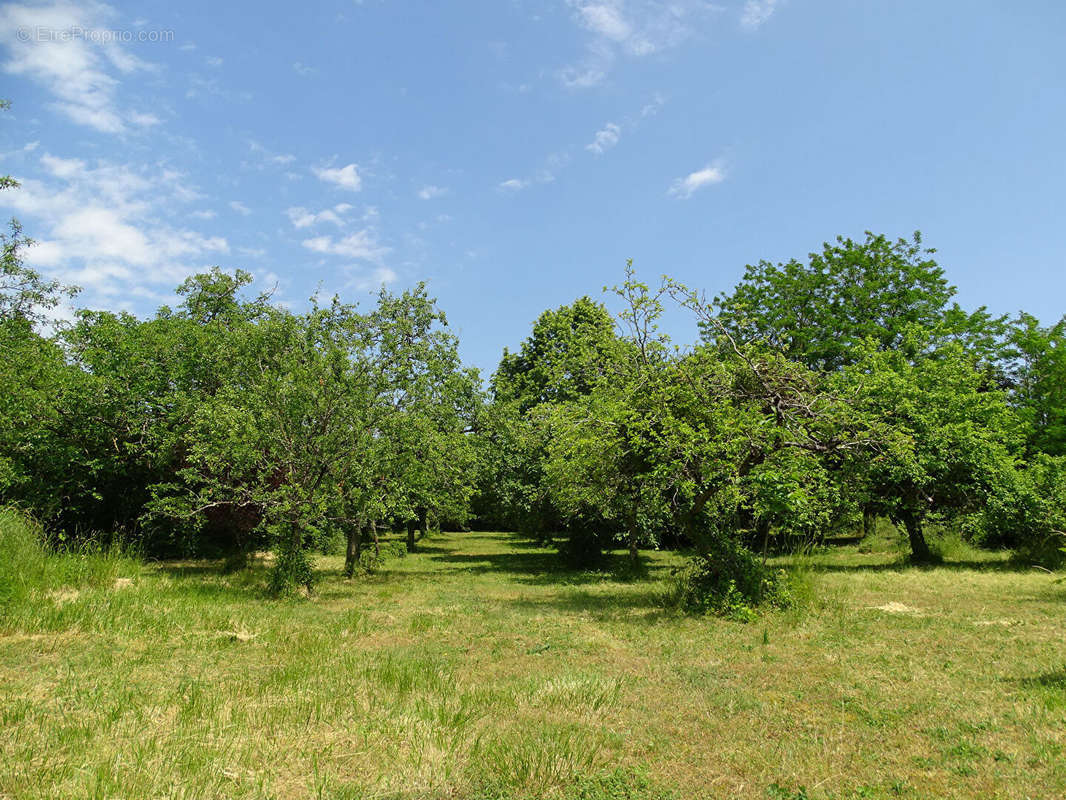 Autre à BEAULIEU-LES-LOCHES