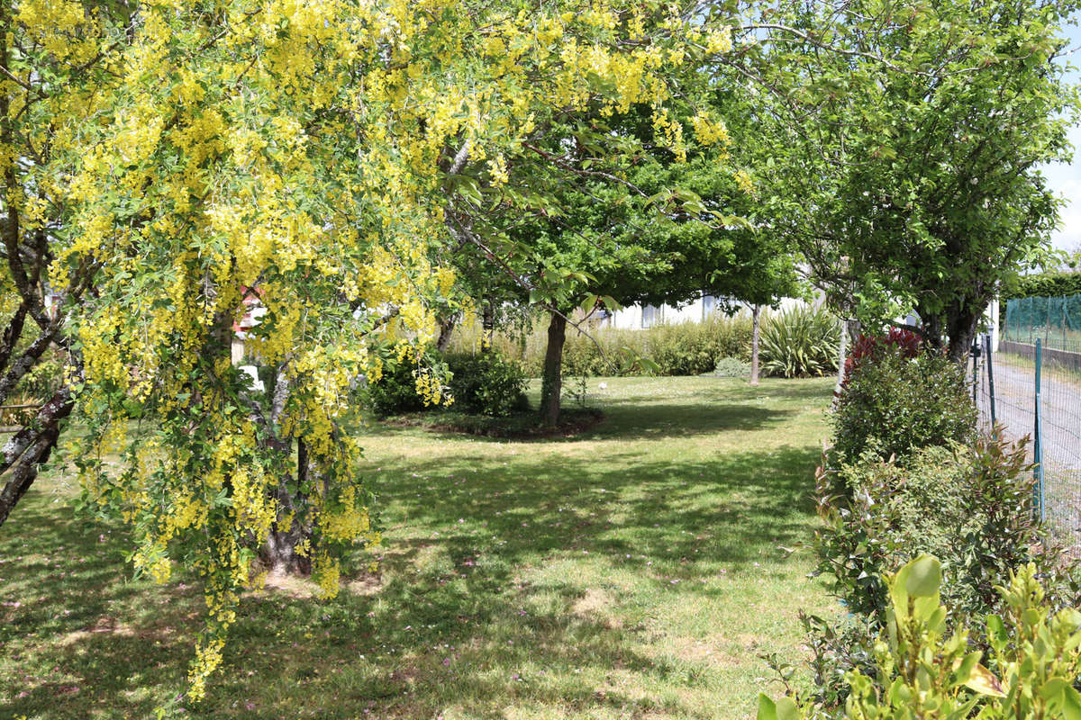 Terrain à LEGE