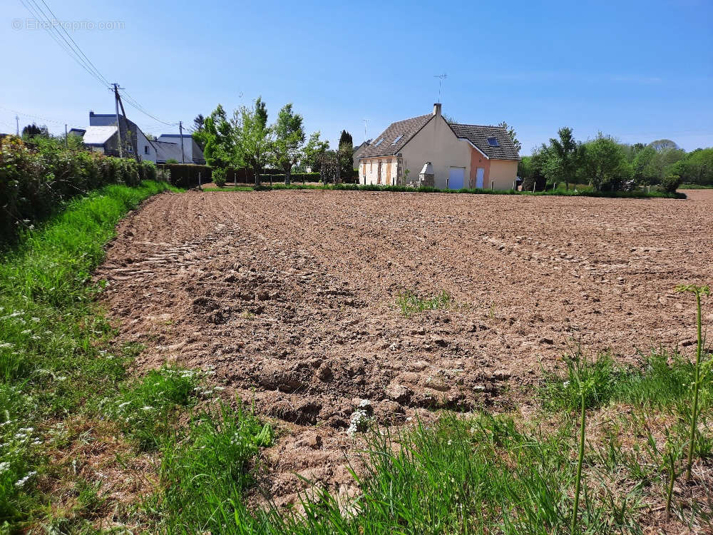 Terrain à PARIGNY