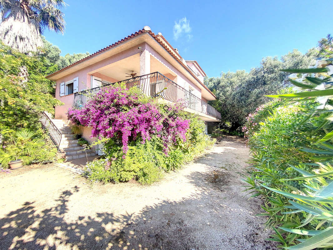 Maison à PORTO-VECCHIO