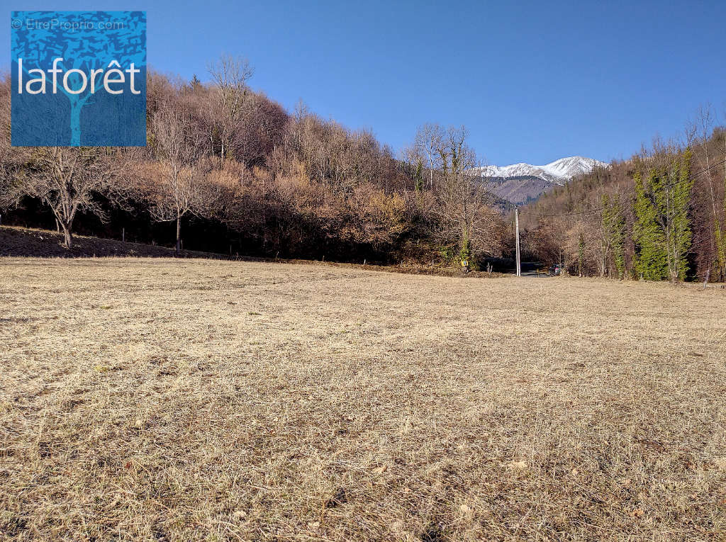 Terrain à PRATS-DE-MOLLO-LA-PRESTE