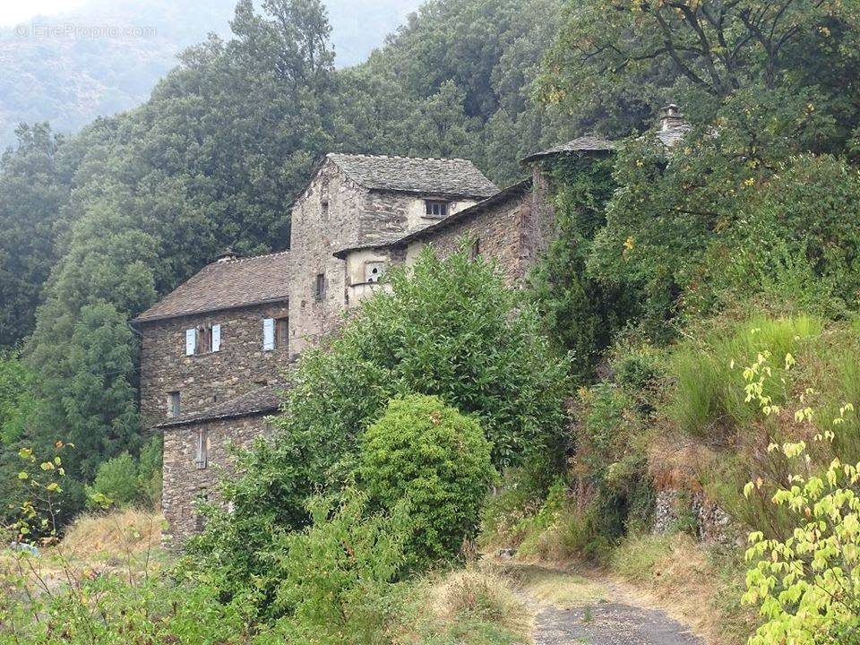 Autre à SAINTE-CROIX-VALLEE-FRANCAISE