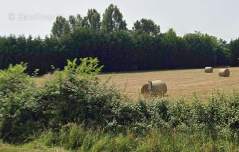 Terrain à SAINT-CHRISTOLY-DE-BLAYE