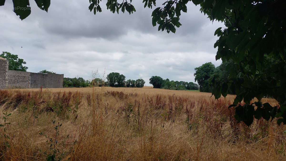 Terrain à VILLIERS-EN-PLAINE