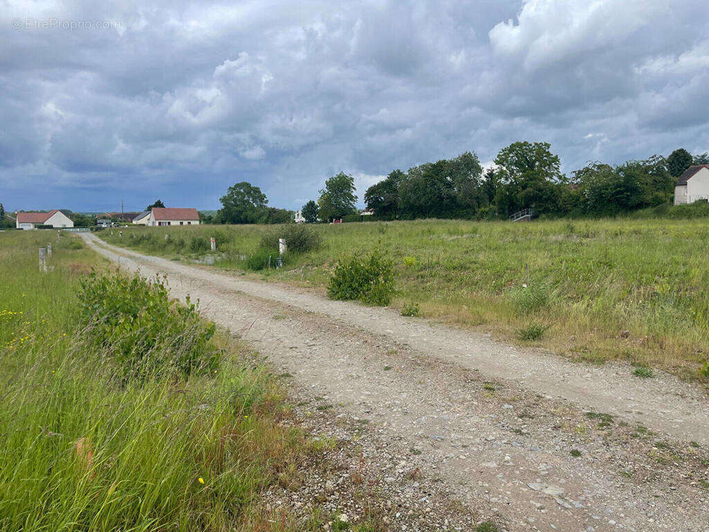 Terrain à LEVROUX