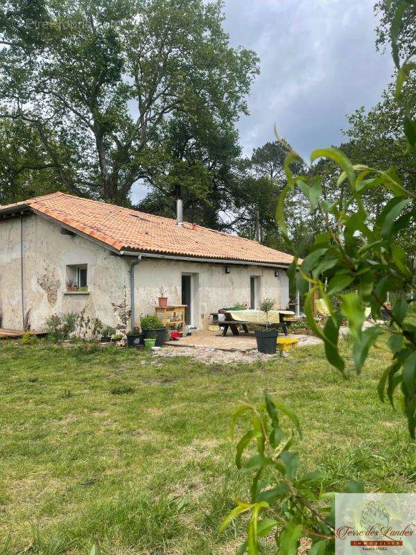 Maison à SAUGNACQ-ET-MURET