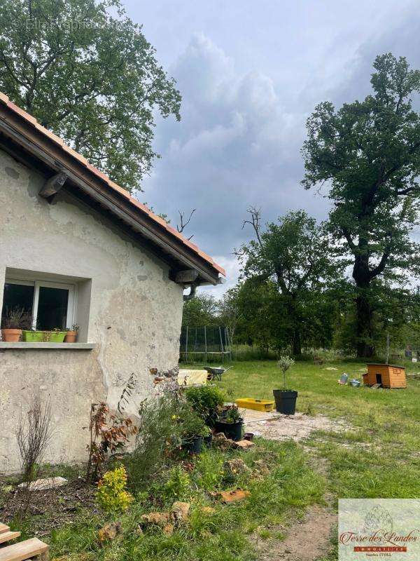 Maison à SAUGNACQ-ET-MURET