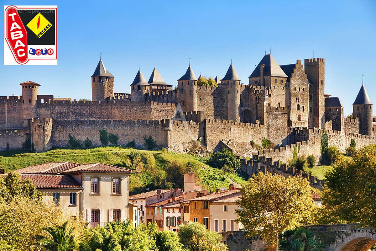 Commerce à CARCASSONNE