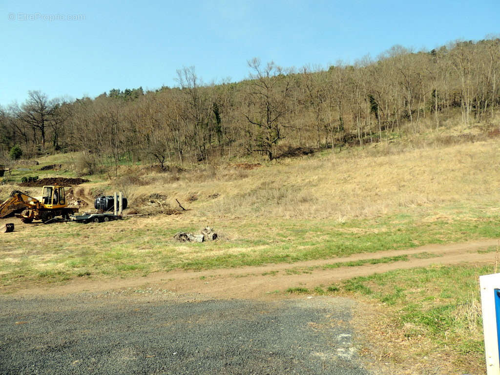 Terrain à POLIGNAC