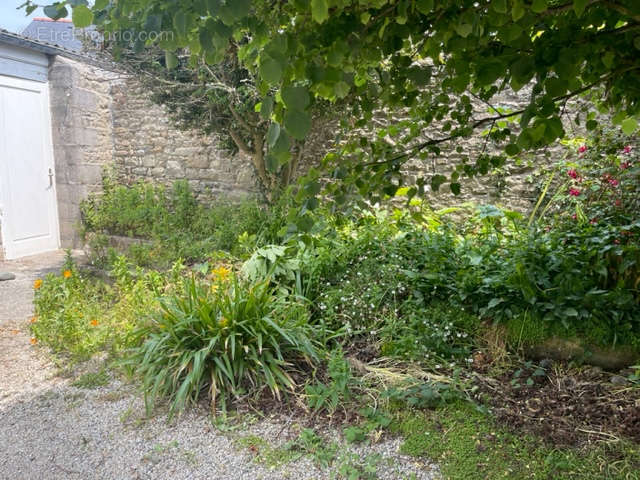 Maison à ROSCOFF