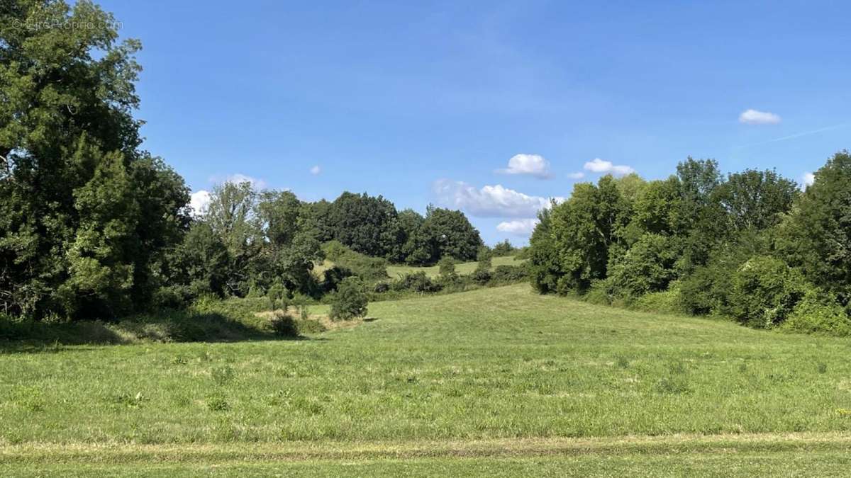 Vue en face - Terrain à SAINT-JEAN-D&#039;ANGELY