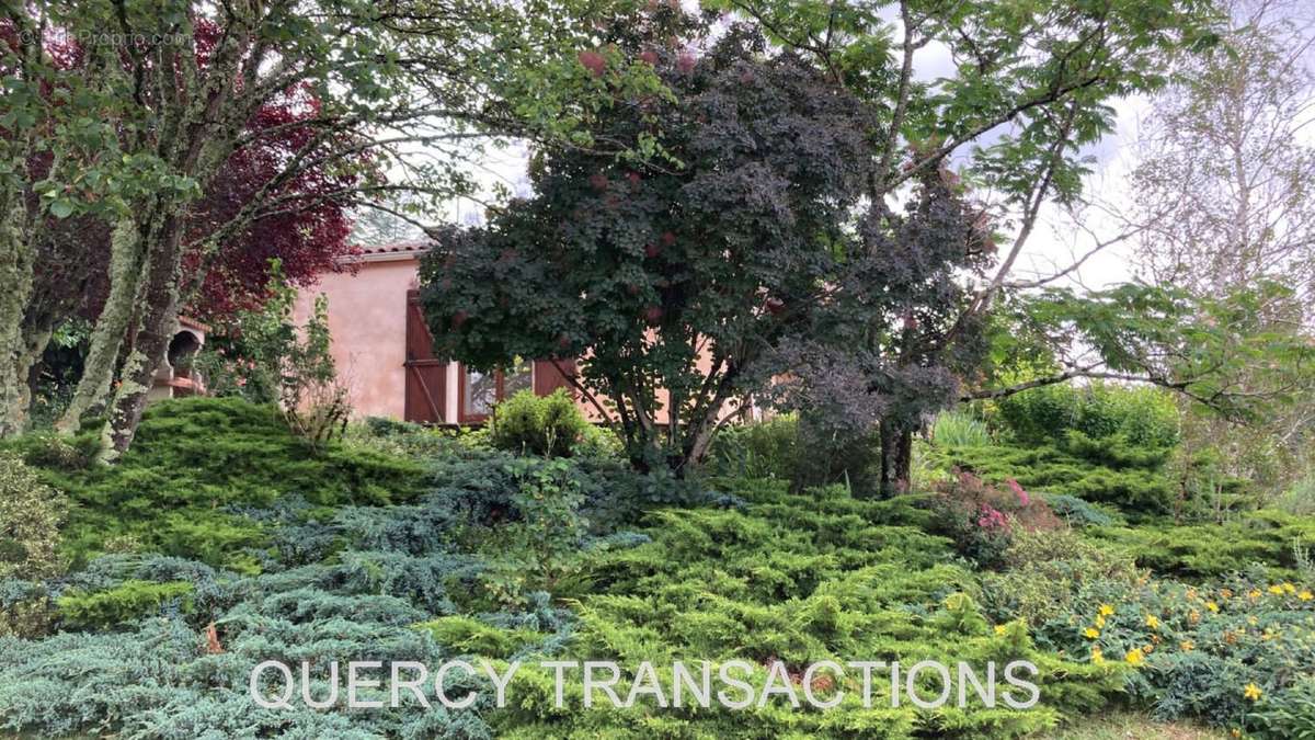 jardin - Maison à CAHORS