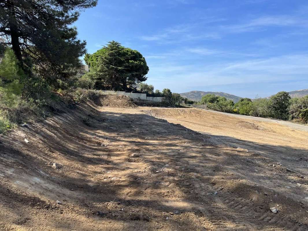 Terrain à CALVI