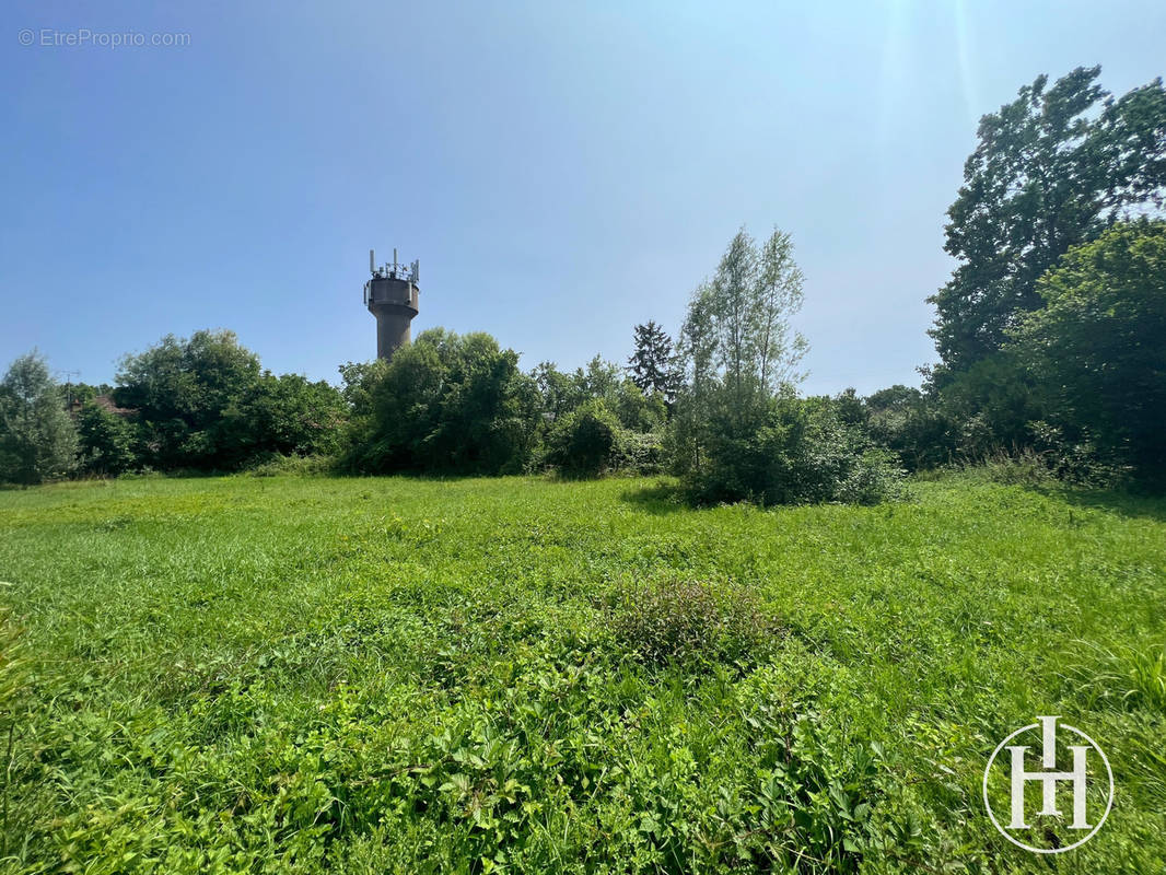 Terrain à SAINT-AMAND-MONTROND