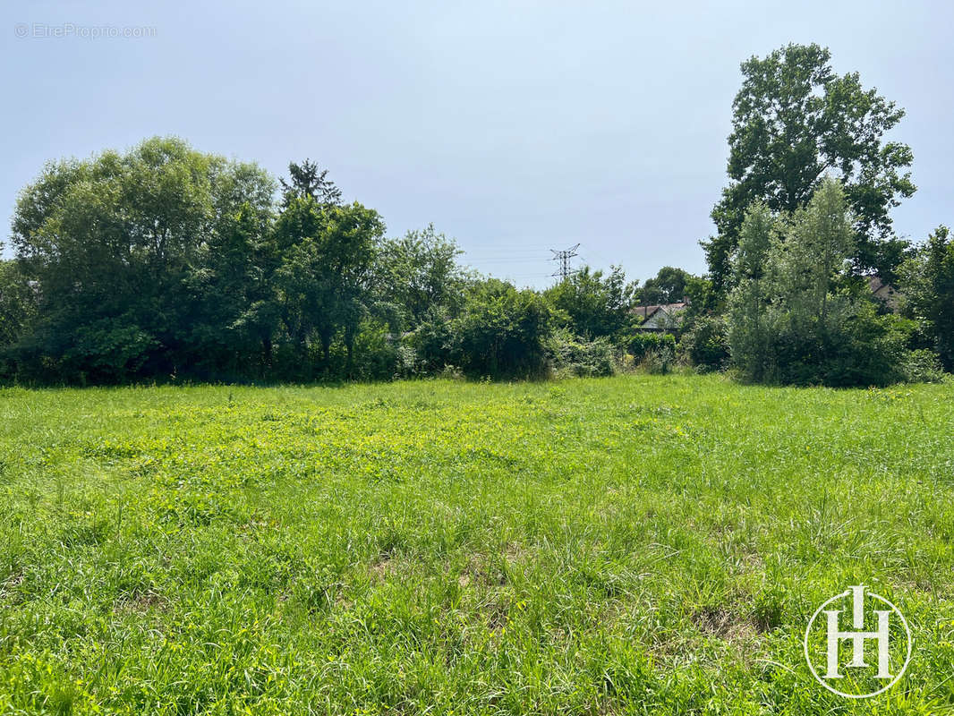 Terrain à SAINT-AMAND-MONTROND