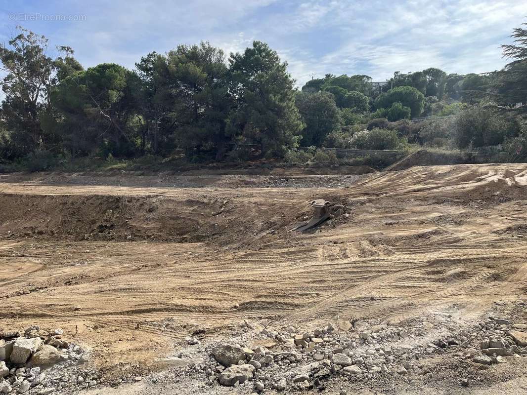 Terrain à CALVI