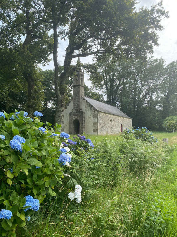 Maison à EDERN