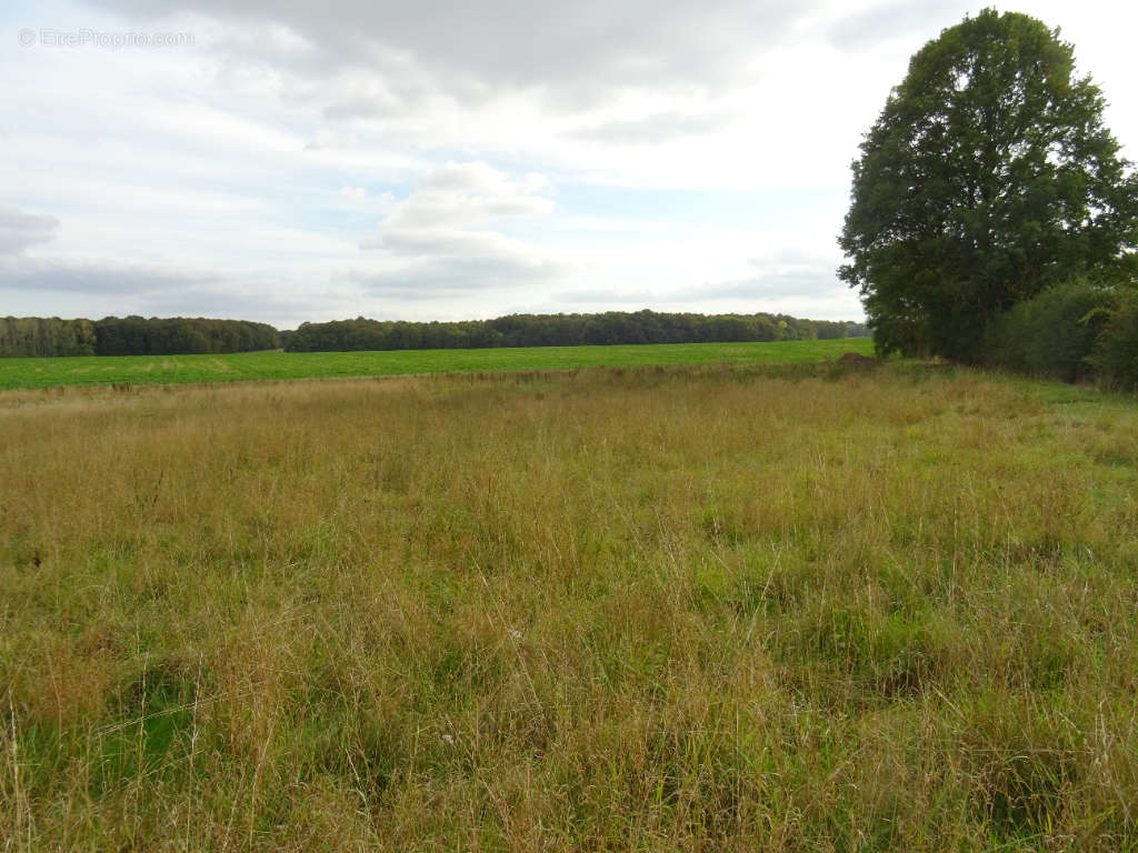 Terrain à LE THIEULIN