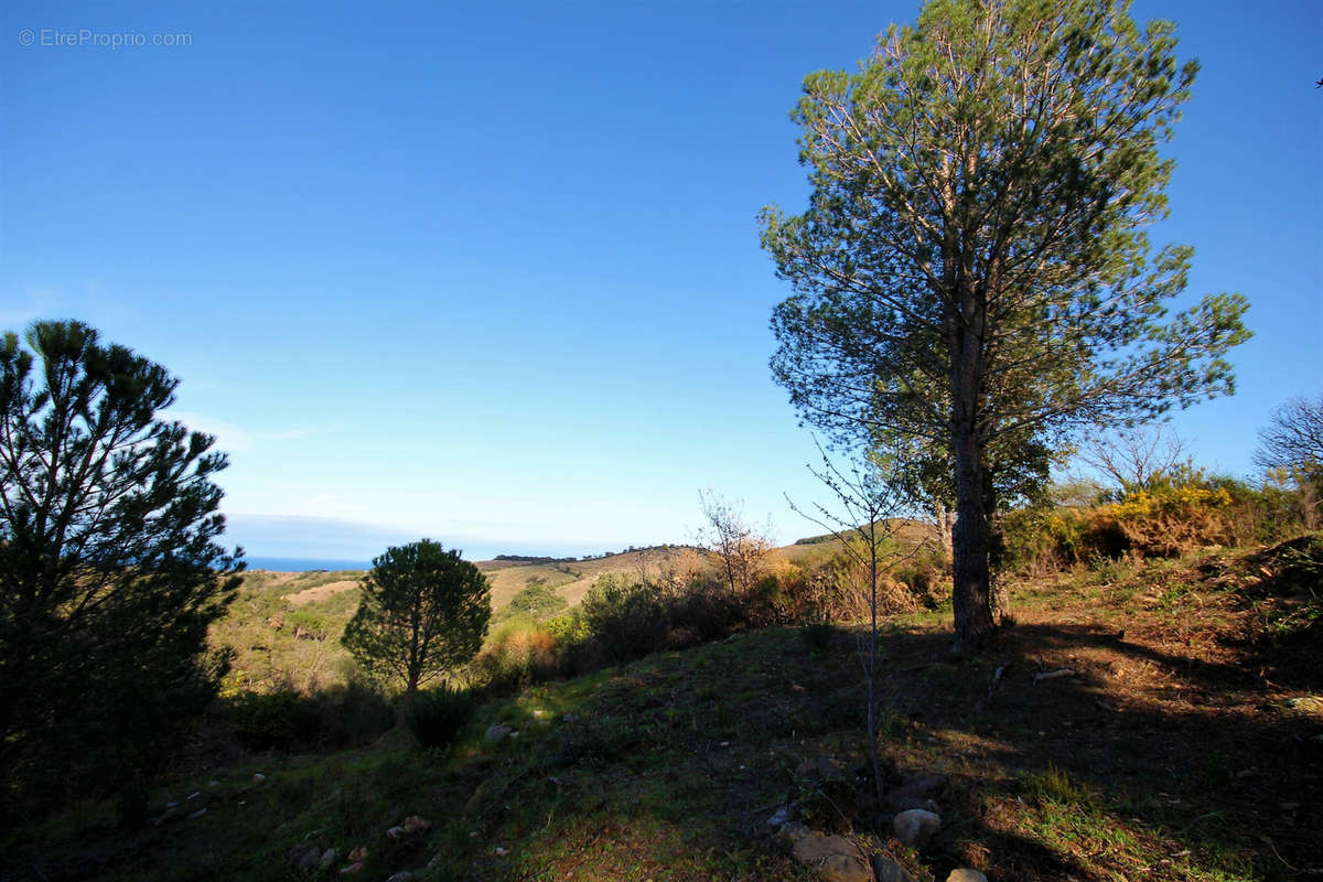 Terrain à ARGELES-SUR-MER